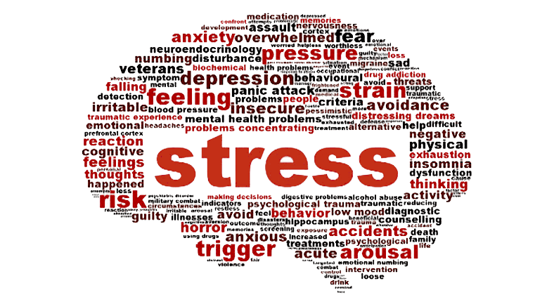 stressed-brain